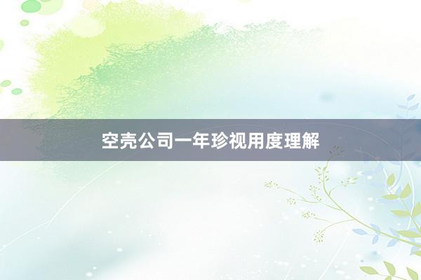 空壳公司一年珍视用度理解